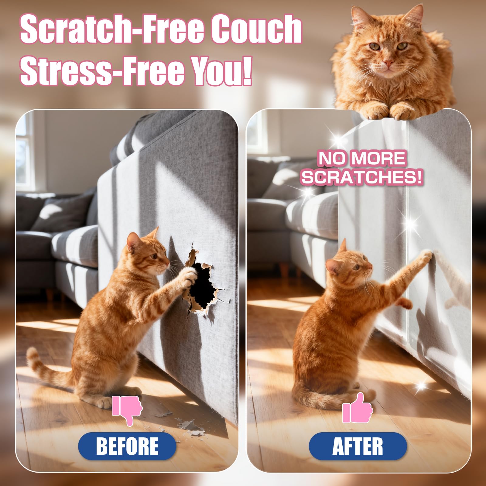10PCS Cat Scratch Furniture Pr - Heat Transfer Vinyl Roll review and price