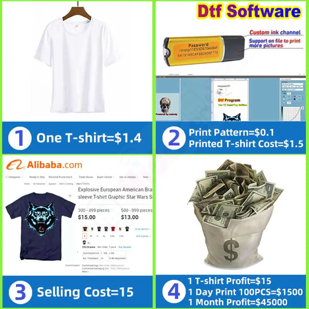 P600 DTF Continuous Ink Supply - Color Rip Software Dongle review and price
